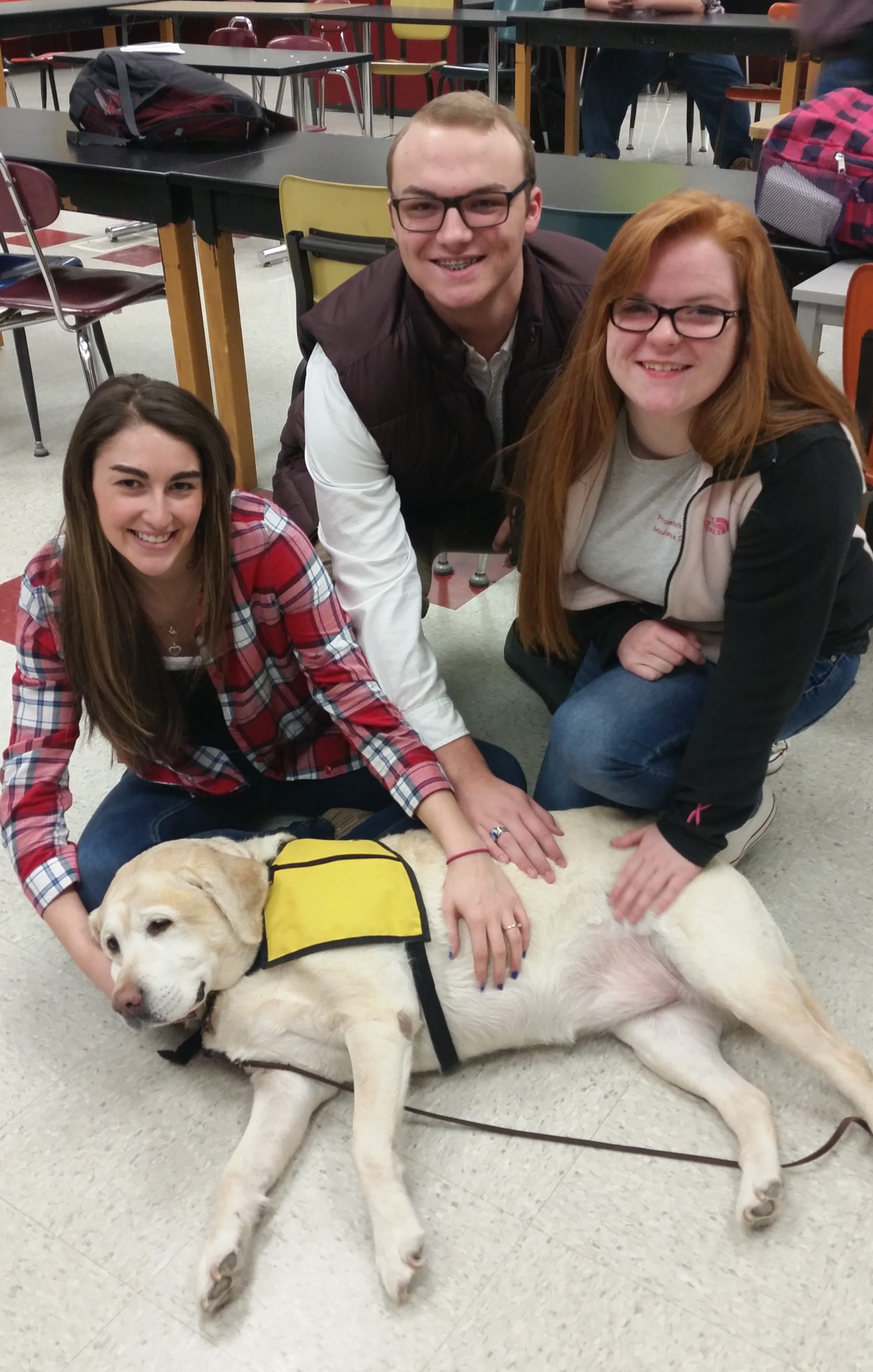 therapy dog visit school