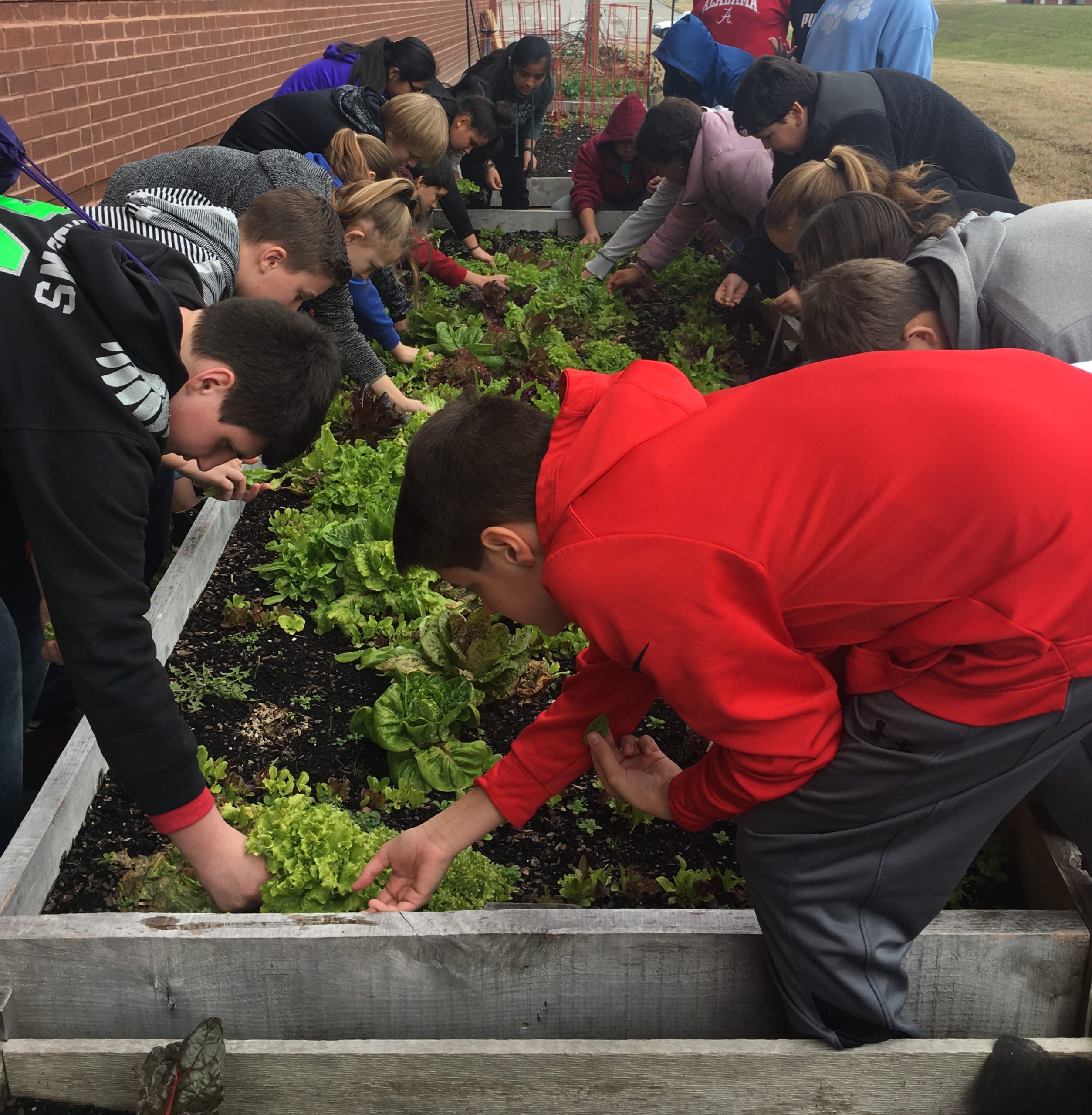 This 'makerspace" in Tennessee's Putnam County Schools relies more on green thumbs than tech knowhow. 