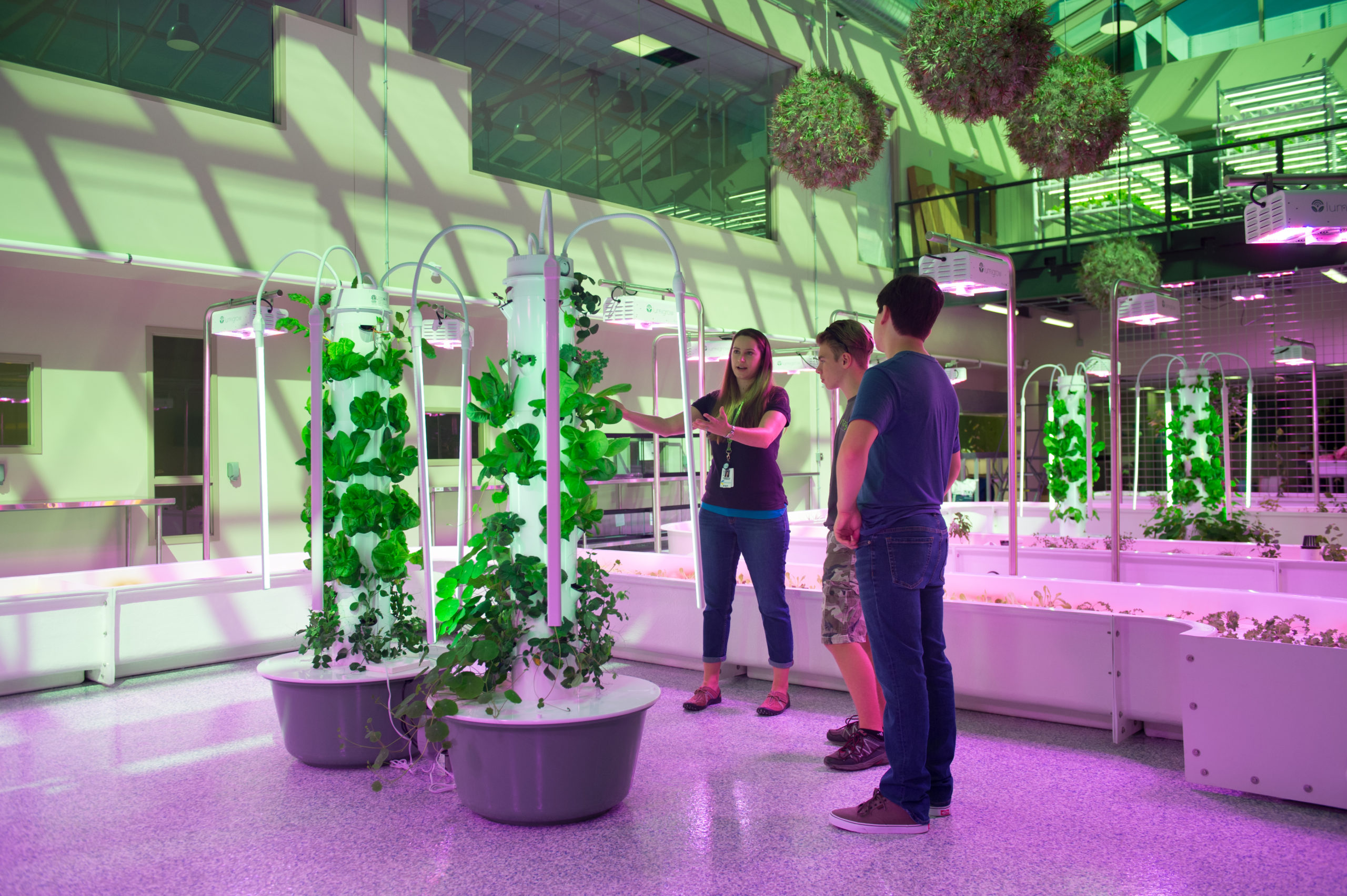AgWorks uses two hydroponic growing wheels and hydroponic vertical gardens. Hershey Company donated an almond tree so students can test whether they can generate more almonds aquaponically than with soil.