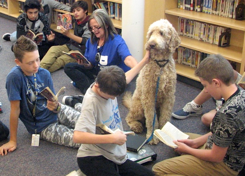 should-therapy-dogs-be-allowed-in-schools