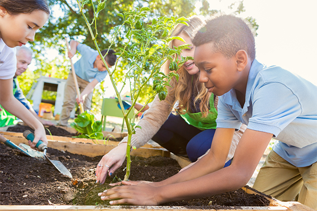 Healthy eating in schools is being promoted through farm to school programs that encourage students to grow their own fruits and vegetables at school.