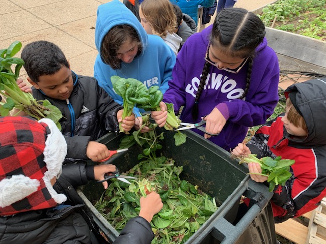 The colors, textures and scents of the fruit and vegetable gardens, trees and other plants in the school sensory garden at Forwood Elementary School in Delaware can bring classroom assignments alive