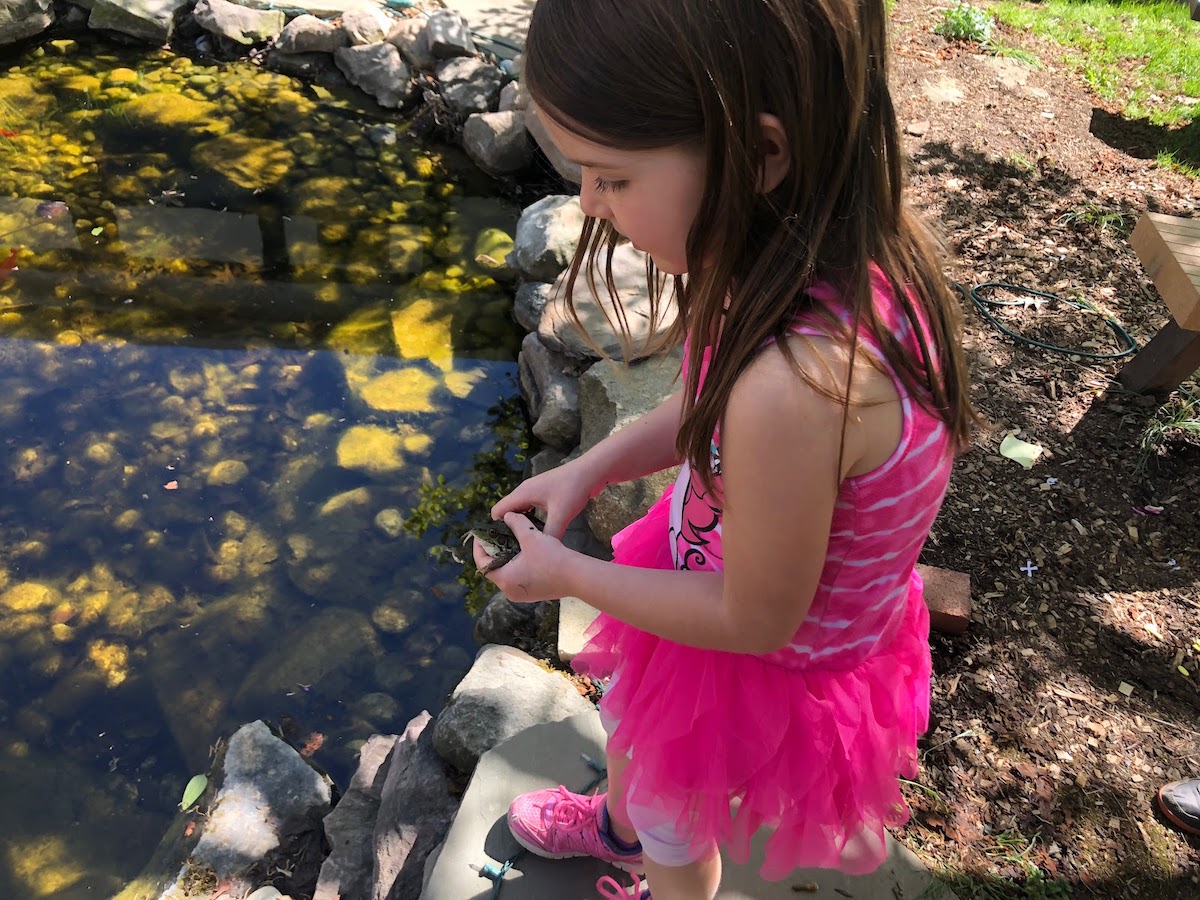 Outdoor learning: A student explores a pond at one of Bear Tavern Elementary School's outdoor learning spaces. 