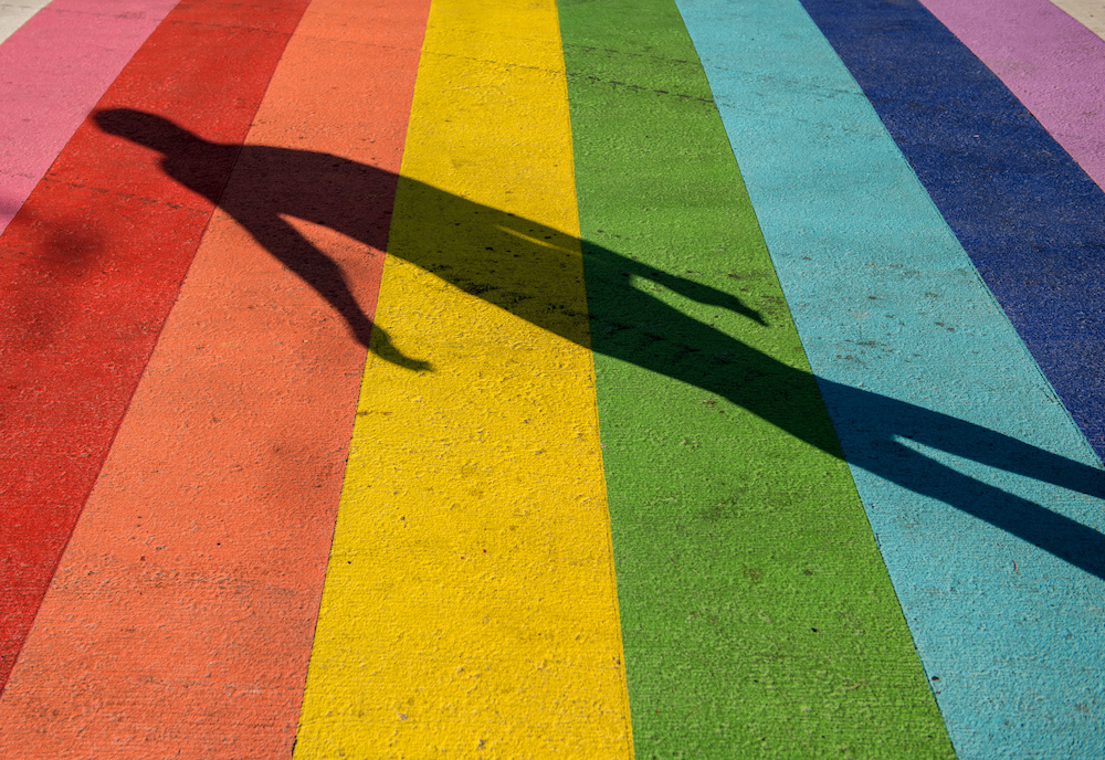 LGBTQ School Leaders Are Focused On 3 Issues Beyond Politics   AdobeStock 490432305 